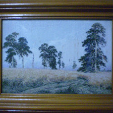 Работа «Поле.»