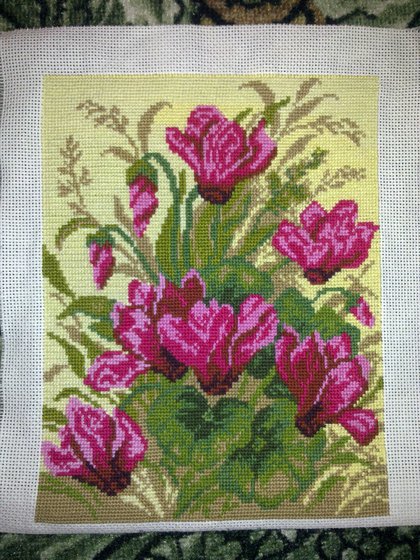 Работа «Цикломен»