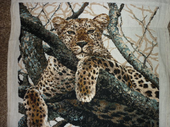 Работа «дикая кошка»