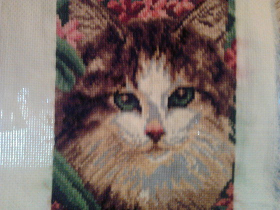 Работа «МОЯ ПЕРВАЯ РАБОТА»