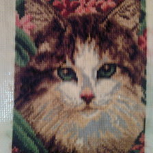 Работа «МОЯ ПЕРВАЯ РАБОТА»