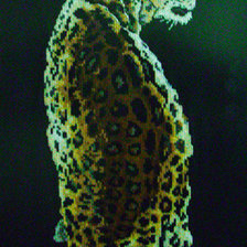 Работа «№6005»