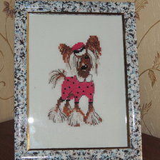 Работа «Хохлатая модница»