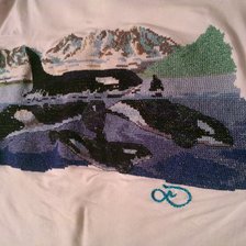 Работа «Семья касаток»