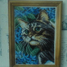 Работа «котик»