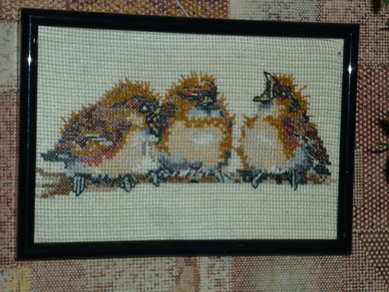 Работа «птичий базар»