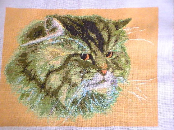 Работа «Старый кот»