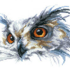 Работа «"Сова"»