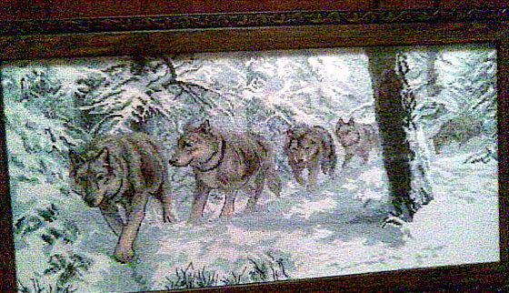 Работа «стая волков»