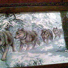 Работа «стая волков»