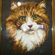 Работа «рыжий кот»