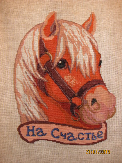 Работа «моя любимая коняшка)))»