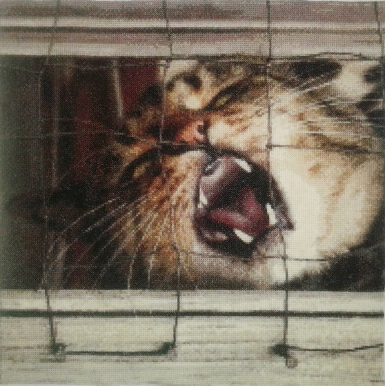 Работа «Страх отчаяния»