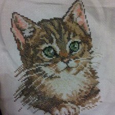 Работа «Котенок»