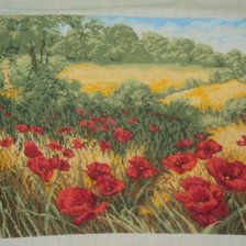 Работа «Pole s makove»