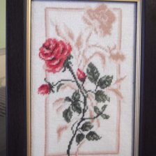 Работа «rozi»