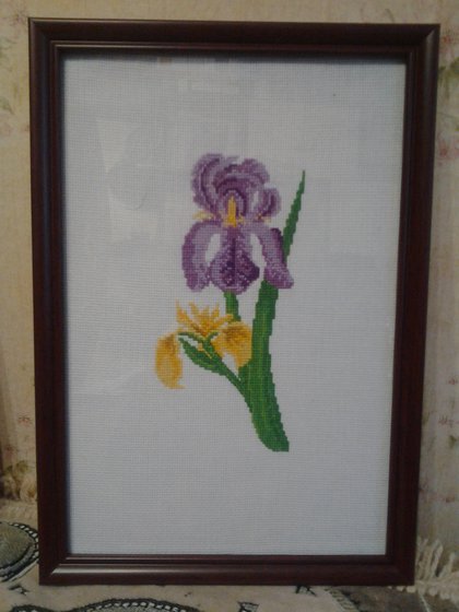 Работа «ирисы»