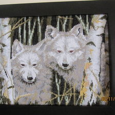 Работа «волки»