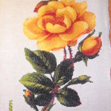 Работа «Жёлтая роза»