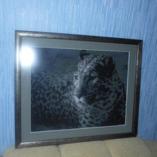 Работа «Гепард»