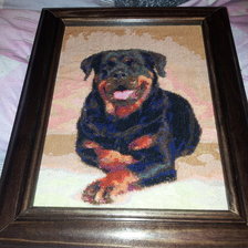 Работа «Ротвейлер»