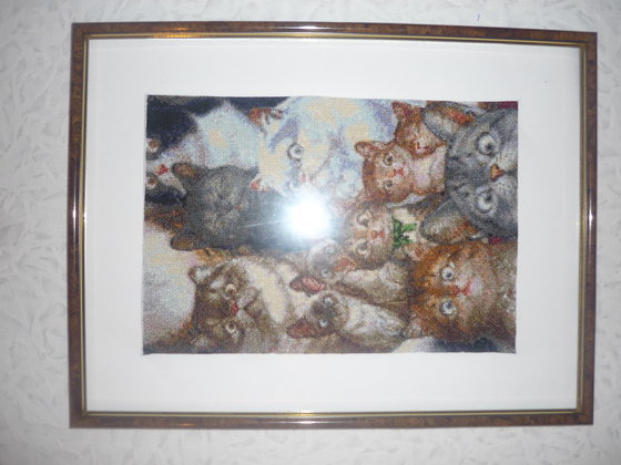 Работа «кошачье царство»