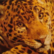 Работа «гепард»