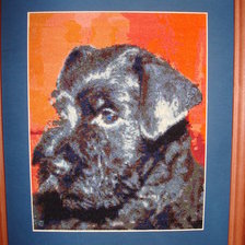 Работа «цверкшнауцер.»