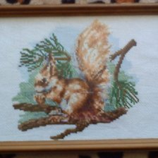 Работа «белка песенки поет,да орешки все грызет»