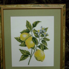 Работа «Лимоны 2»