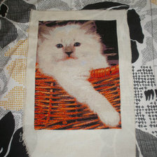 Работа «котик в карзинке»