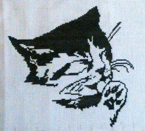 Работа «кот»