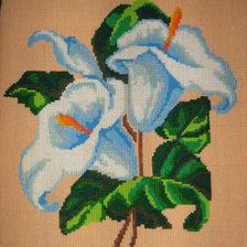 Работа «Каллы»