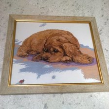 Работа «Рыжий спаниель»