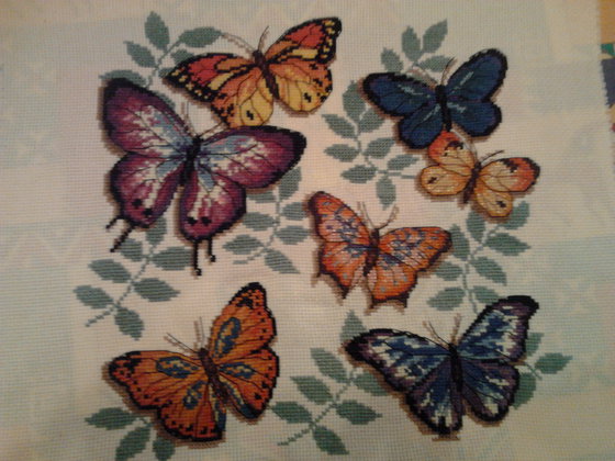 Работа «Чудные бабочки»