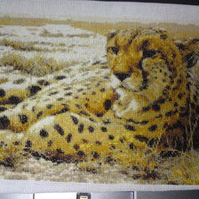 Работа «солнце саванны»