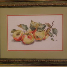 Работа «яблоки»