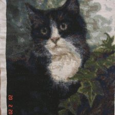 Работа «Мой Лева»