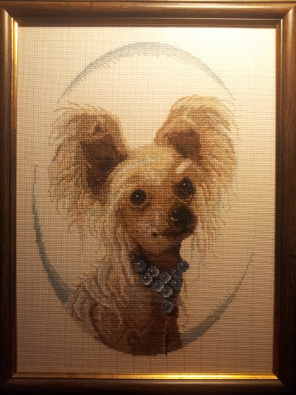 Работа «Китайская хохлатая»