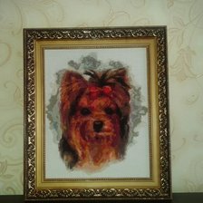 Работа «йорк»