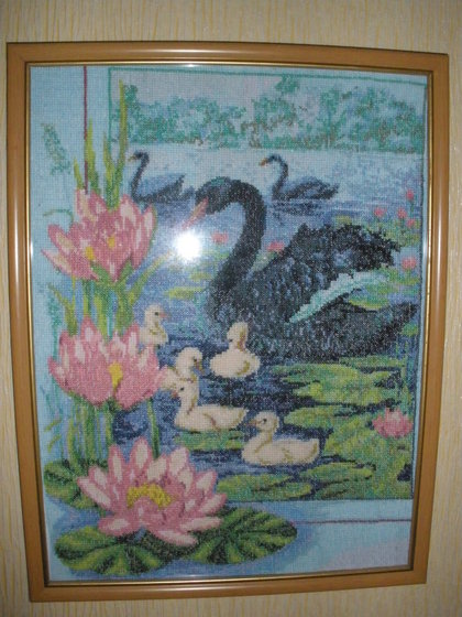 Работа «Чёрные лебеди»