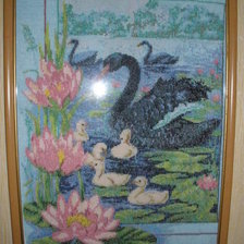 Работа «Чёрные лебеди»