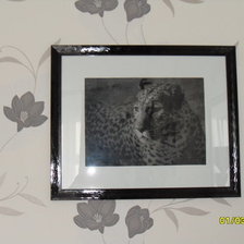 Работа «Леопард»