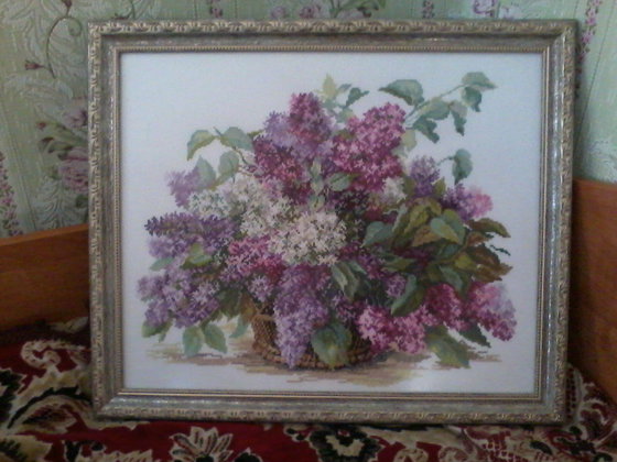 Работа «№11707»