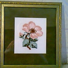 Работа «Шиповник»