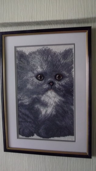 Работа «Котенок»