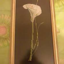 Работа «Калла»