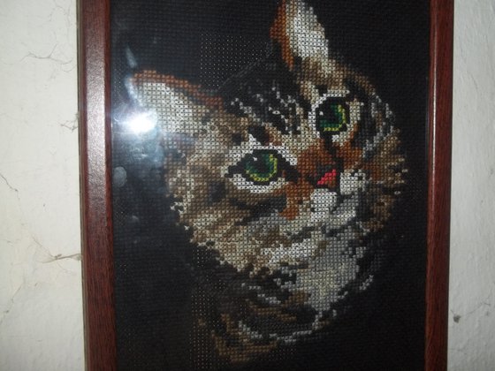 Работа «Котеня»