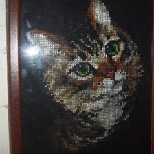 Работа «Котеня»