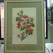 Работа «Шиповник, Riolis»